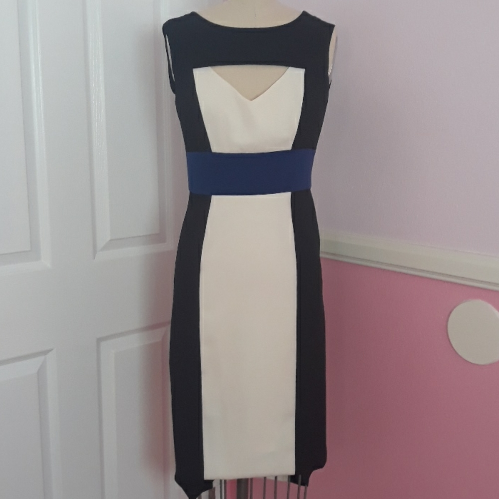 Multicolored BCBG Work to PLAY Dress